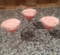 Pink Rose