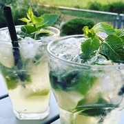 Mojito Longdrink Cocktail